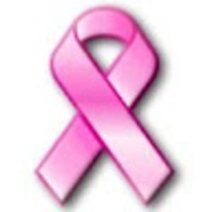 Meet your Posher, Dena